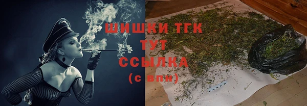 PSILOCYBIN Бугульма