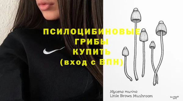дмт Верхний Тагил