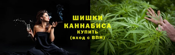 PSILOCYBIN Бугульма