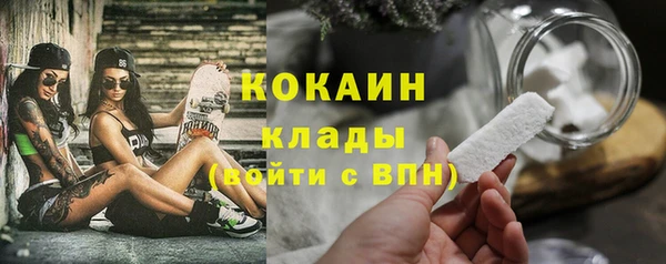 твердый Бронницы