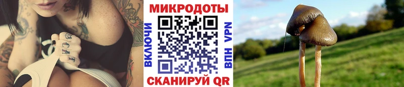 МЕГА ТОР  Верещагино  Псилоцибиновые грибы GOLDEN TEACHER  где купить наркоту 